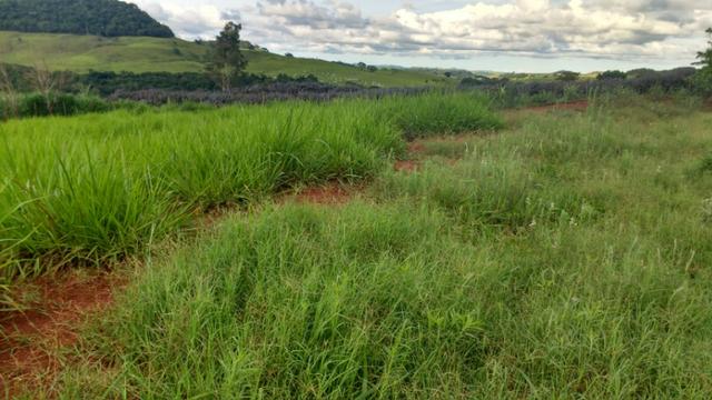Vila rural em Valinhos , cidade Luiziana - Foto 10