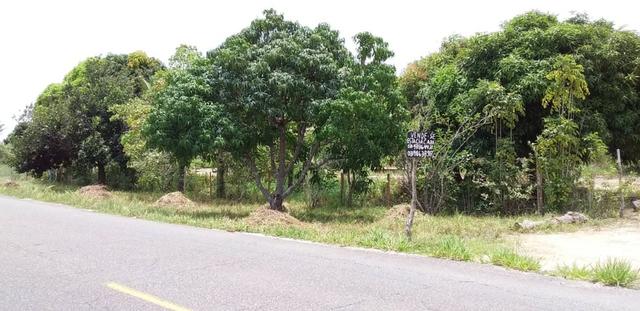 Chácara 4.950 M² - Foto 2