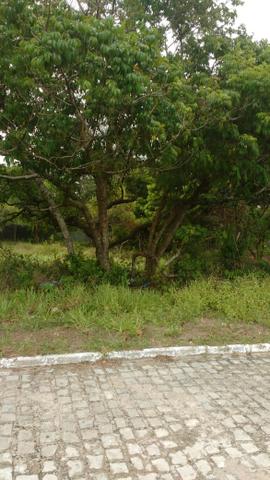 Terreno em Arembepe - Foto 3