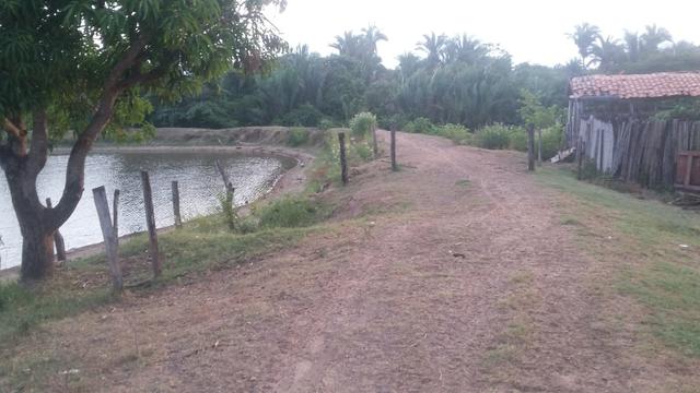 Fazenda do alagoano a venda - Foto 6