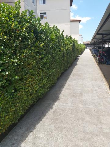 Apartamento Em São José dos Pinhais - Pedro Moro - Foto 16