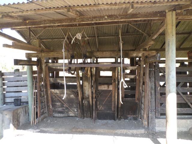 Fazenda de 154 alqueires em Silva Jardim, RJ - Foto 19