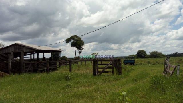 Fazenda a 4 km do frigorífico em nova marilândia - 7 km da cidade - Foto 6