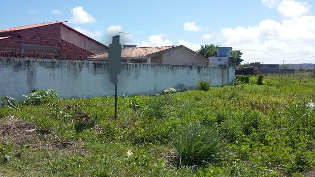 Terreno no Francês - Foto 6