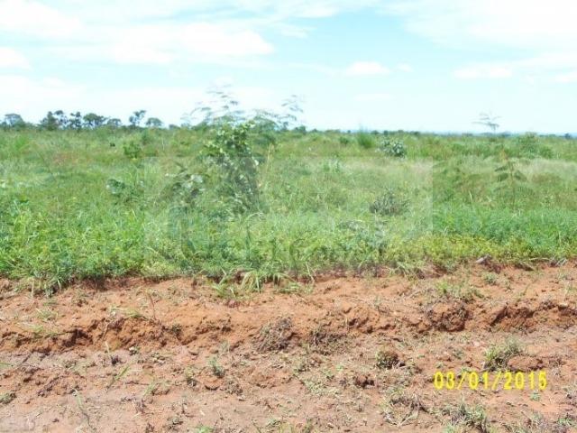 Fazenda no Mato Grosso 5.276 ha venda total - parcial ou permuta - Foto 13