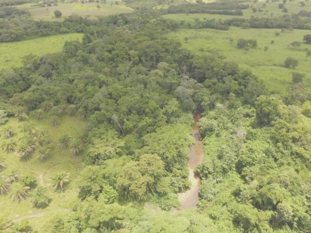 Fazenda em Acorizal MT/ 162 hectares sendo 150 formado - Foto 8