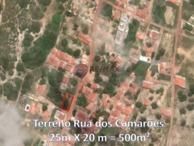 Terreno de 500 m² em região com grande potencial de crescimento