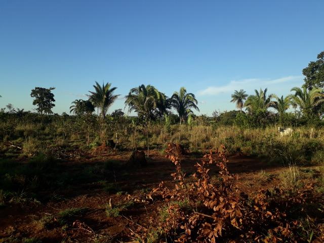 Sitio em Acorizal com 38.2 hectares - Foto 12