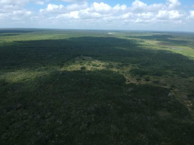 Terreno plano de 15 hectares à 4 km do centro - Foto 5