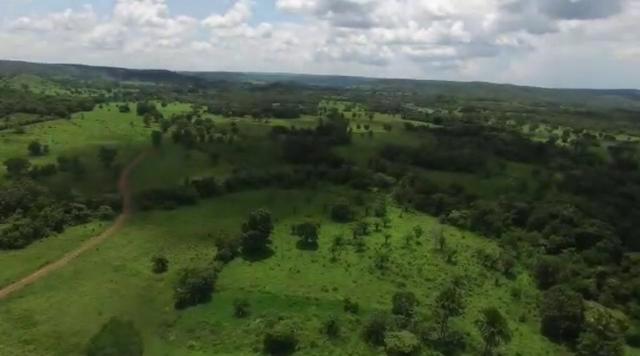 Fazenda de pecuária a venda 12 km porto nacional - Foto 6