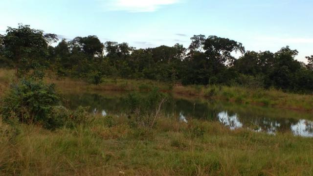 Fazenda 320 ha 100 km de Cuiaba - Foto 6