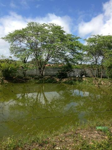 Chácara com 01 hectare em Gravatá/PE, para venda - REF.488 - Foto 20