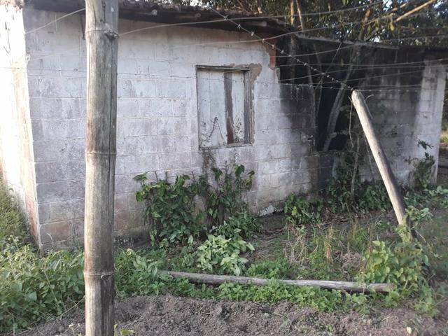 Sítio em Cachoeiras de Macacu oportunidade!! - Foto 11