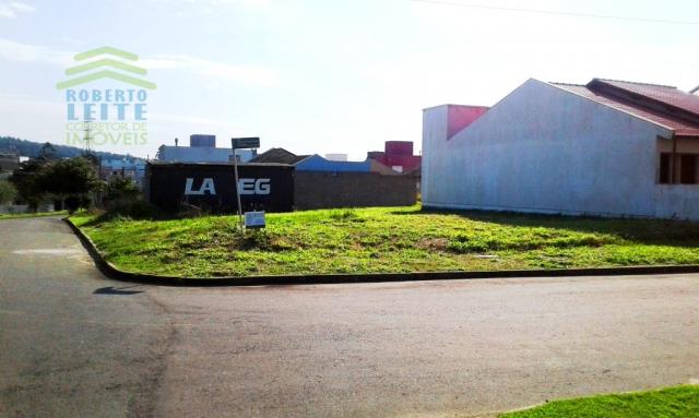 Terreno, Protásio Alves, Porto Alegre-RS - Foto 2