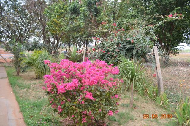 Cód. 125 - Vende-se Salão de Festas completo no Jd. Belo Horizonte do Tambury - Foto 11