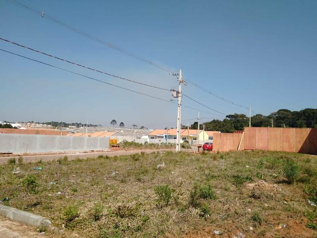 Fazenda Rio Grande- terrenos financiados-ent. R$2.450,00- - Foto 4