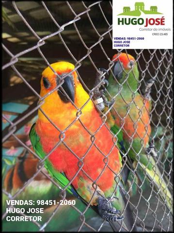 Chácaras em Trindade- Go Monte das Oliveiras / Arca Parque - Foto 11