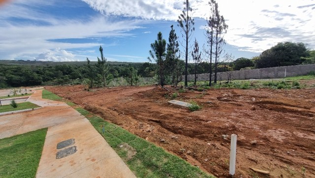 Frações Lotes terrenos 2500 M², Parkway, Escriturado, Infra, (aceita FGTS ou financiamento - Foto 12