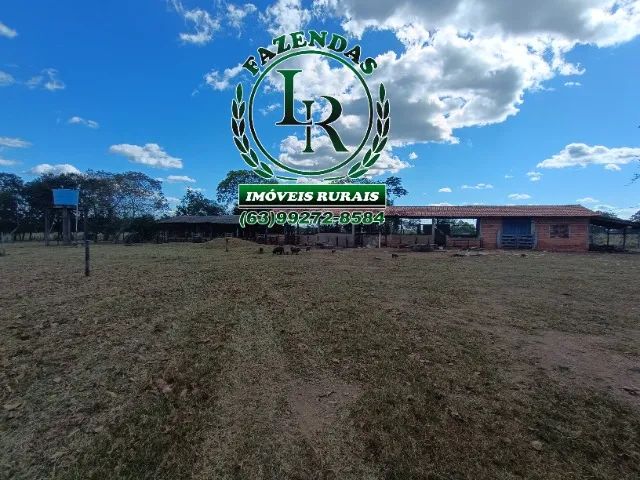 Chácara de 5 alqueires Próximo a Paraiso do Tocantins - Foto 3