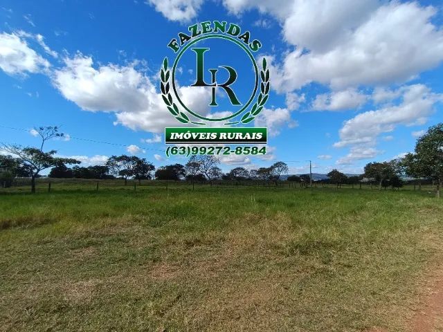 Chácara de 5 alqueires Próximo a Paraiso do Tocantins - Foto 5