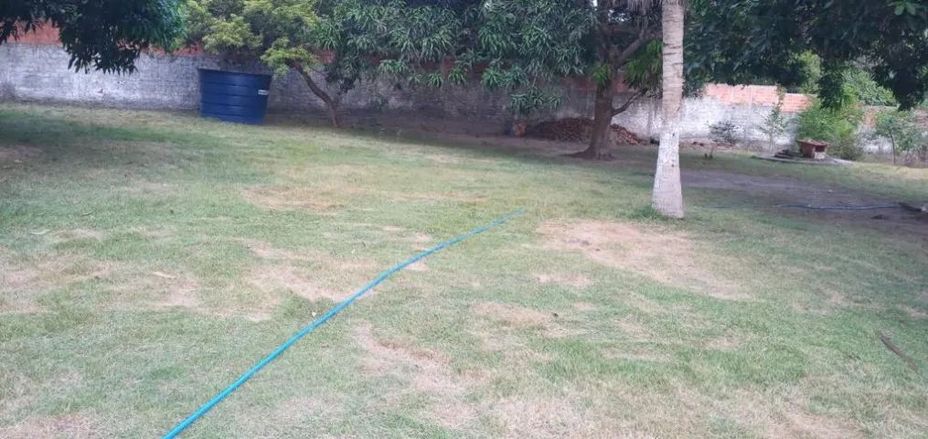 Sítio chácara com 6.450,46m² em Paço do Lumiar - Foto 4