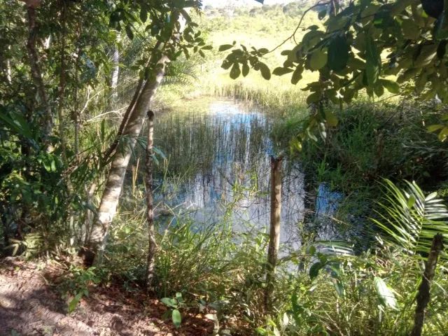 Sítio - Esplanada Ba / 40 tarefas - 17 Hectares - Foto 4
