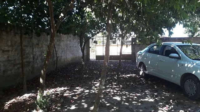 Vende-se / aluga-se sítio 25x89, diversas árvores frutíferas.