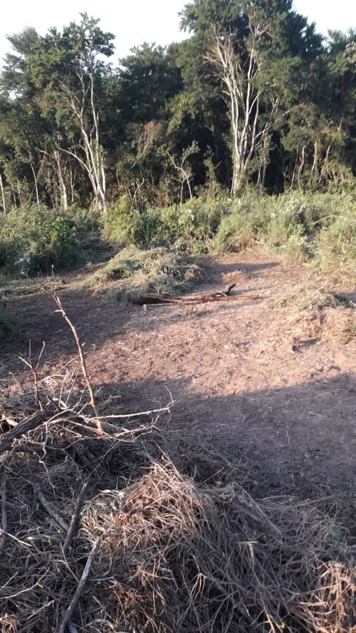 Terreno em Condomínio Fechado - Santa Isabel