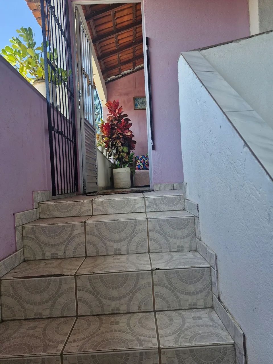 Foto - Vitória - Universitário