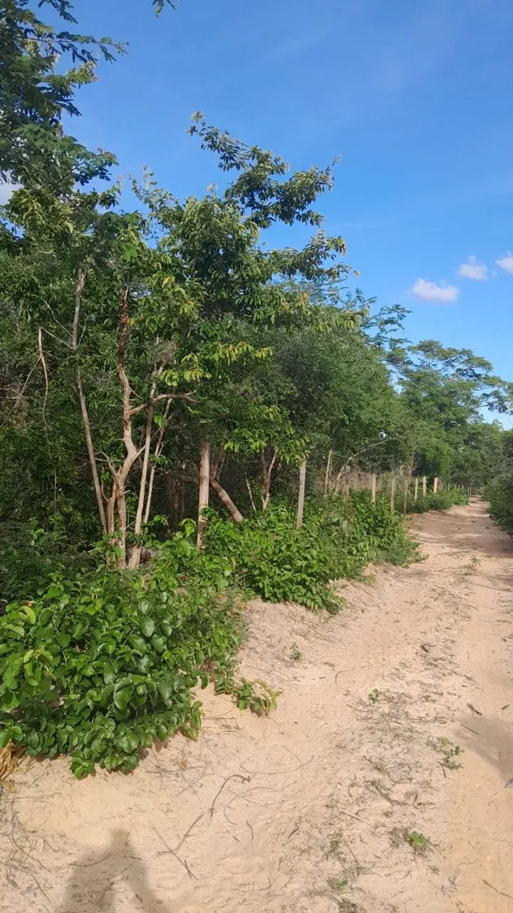 Fazenda a venda! - Foto 5