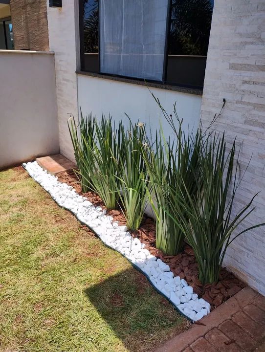 Jardinagem  - Foto 5