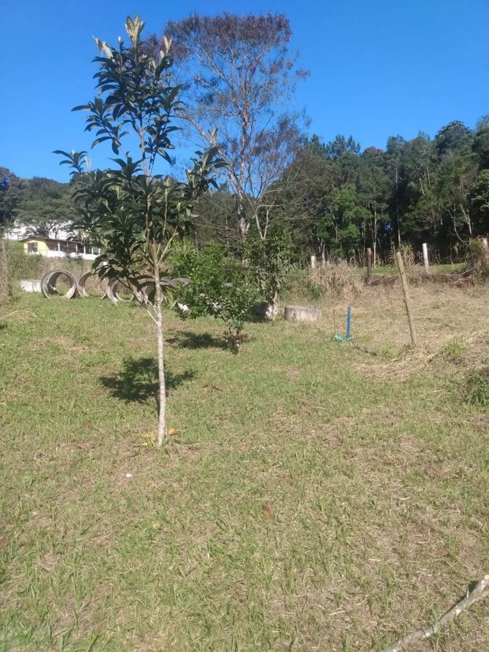 Vendo  chácara em Juquitiba São Paulo  - Foto 12