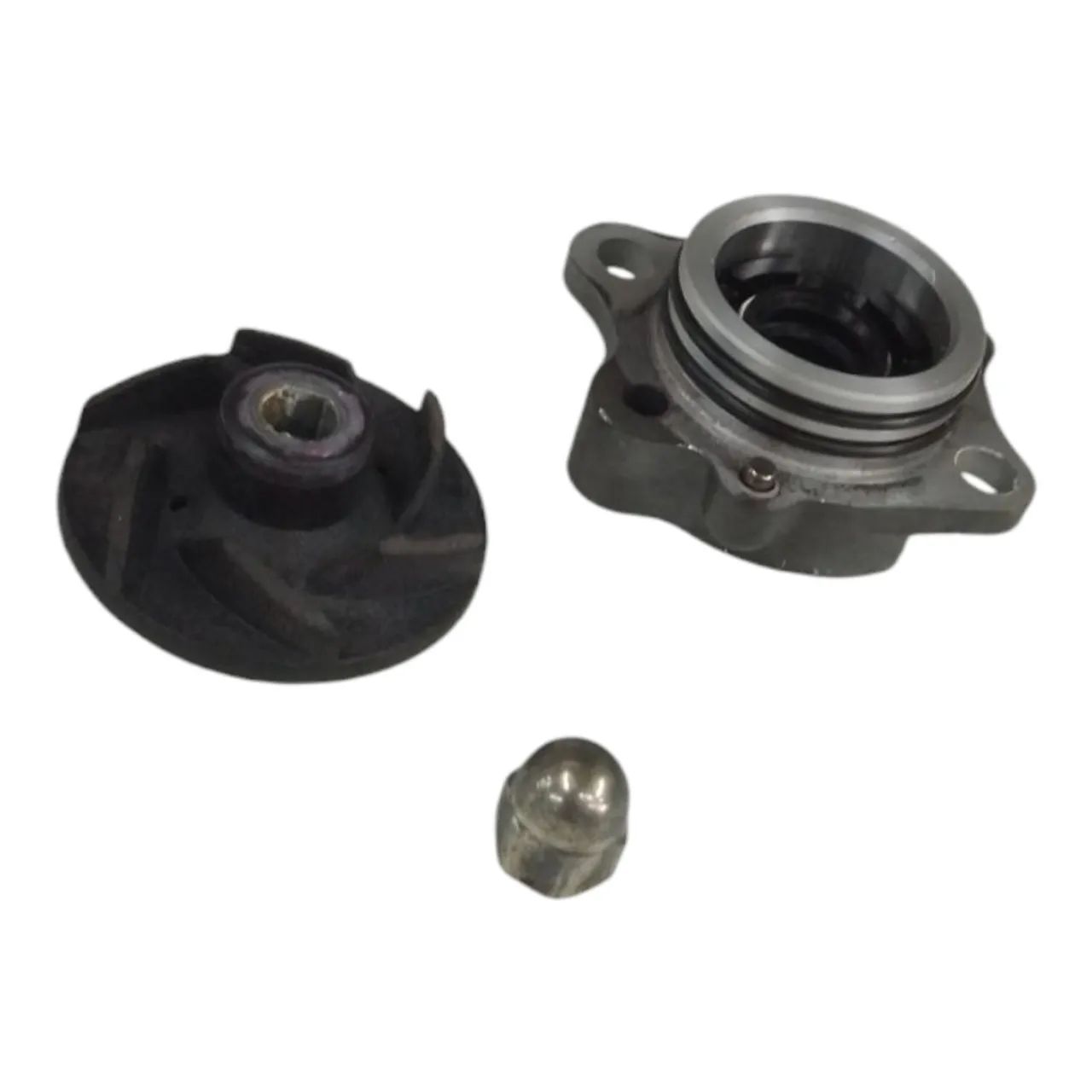 Bomba Água Triumph Scrambler 400x 2023/2024