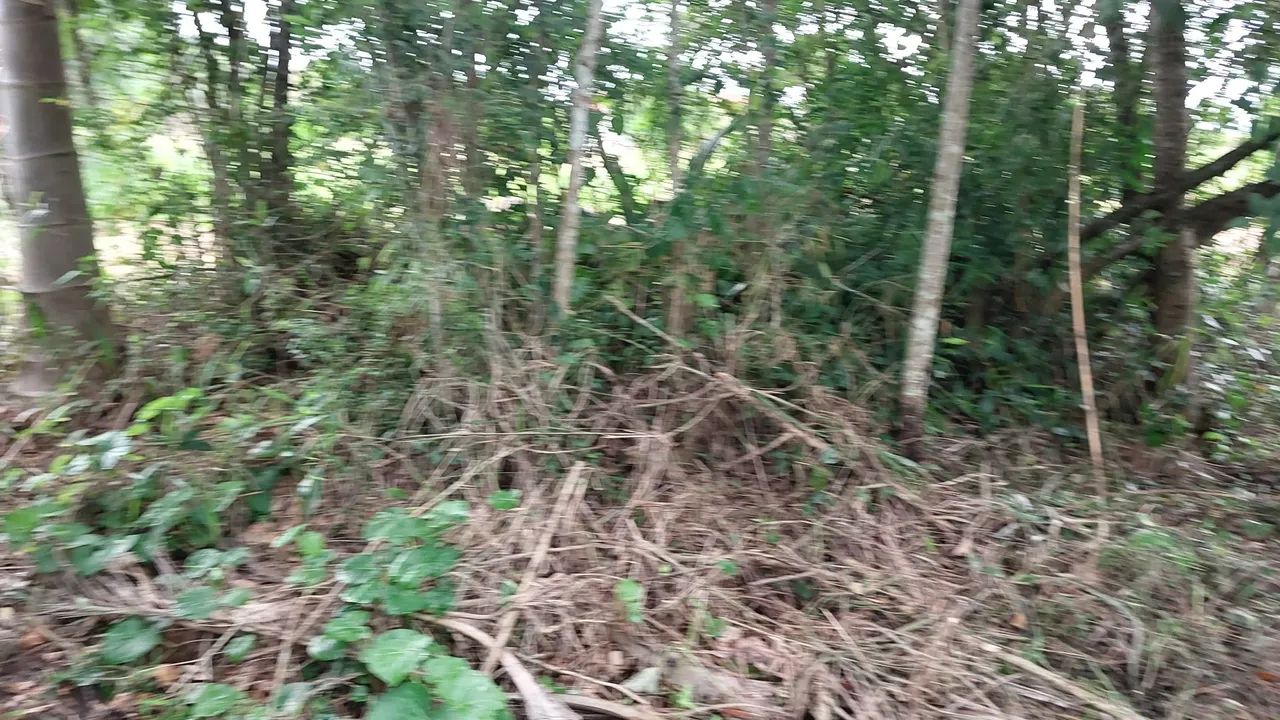 TERRENO JARDIM CANANÉIA 1.439,00 M2 - Foto 2