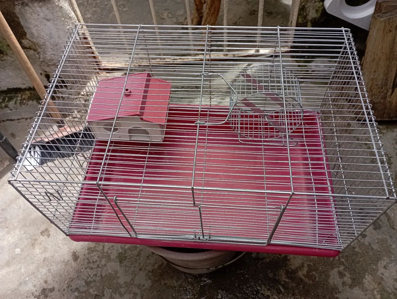 Gaiola para Roedores com Acessórios