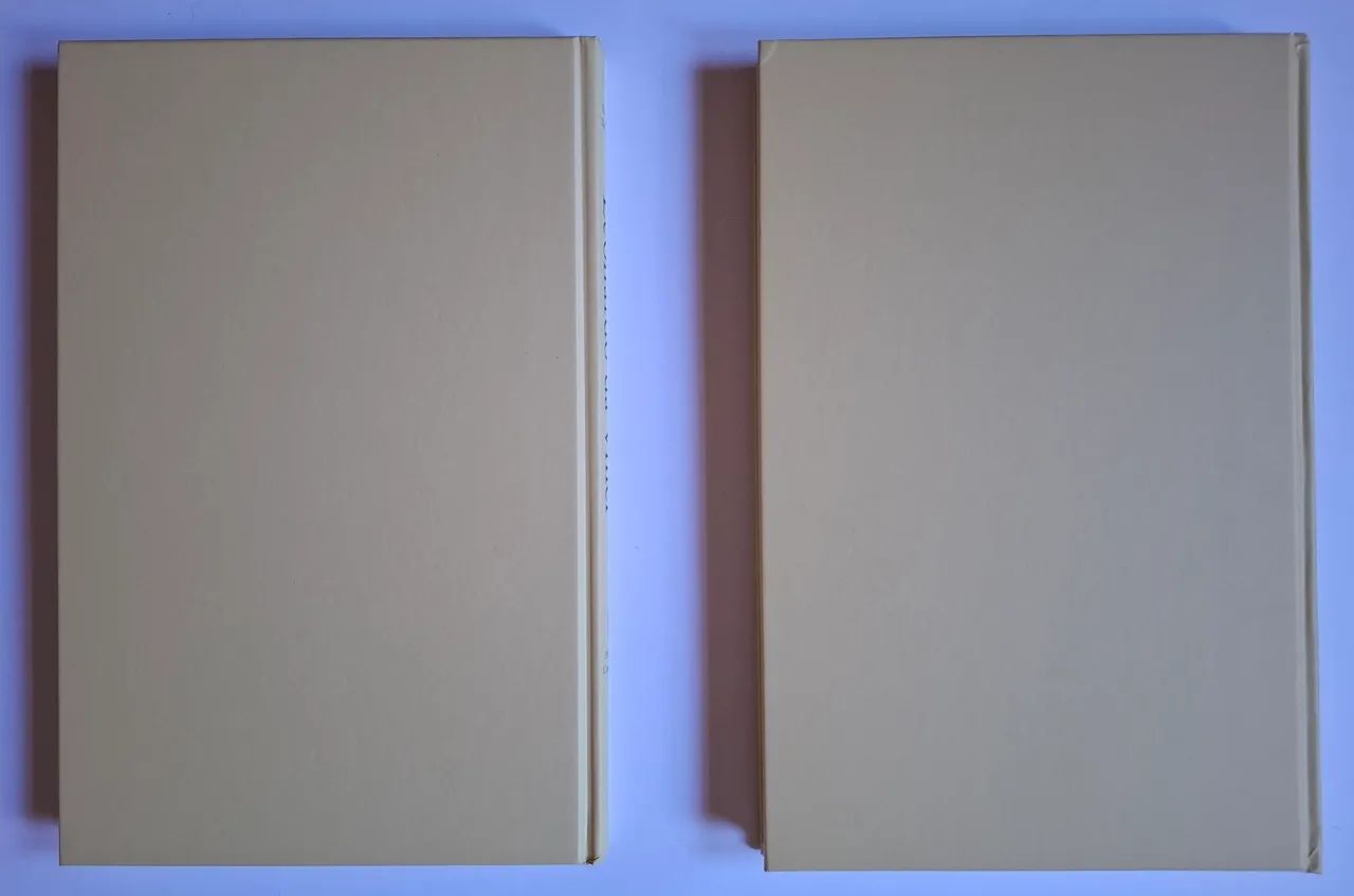 Leonardo Da Vinci Frank Zollner 2005 - Foto 4