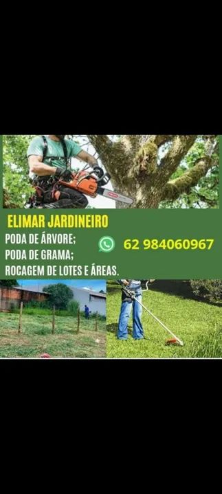 Jardinagem e planta de grama 