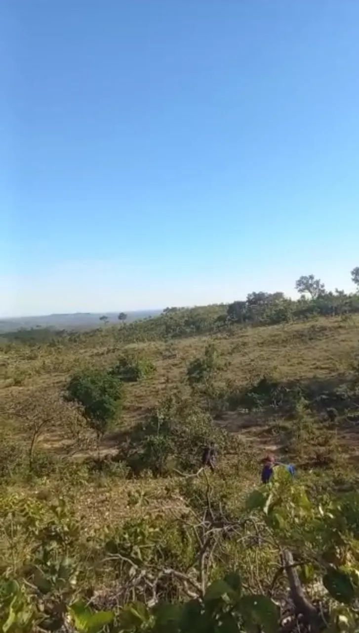 Vendo 10 alqueires  na região do morro agudo de Goiás, 180km de Goiânia!!  - Foto 2