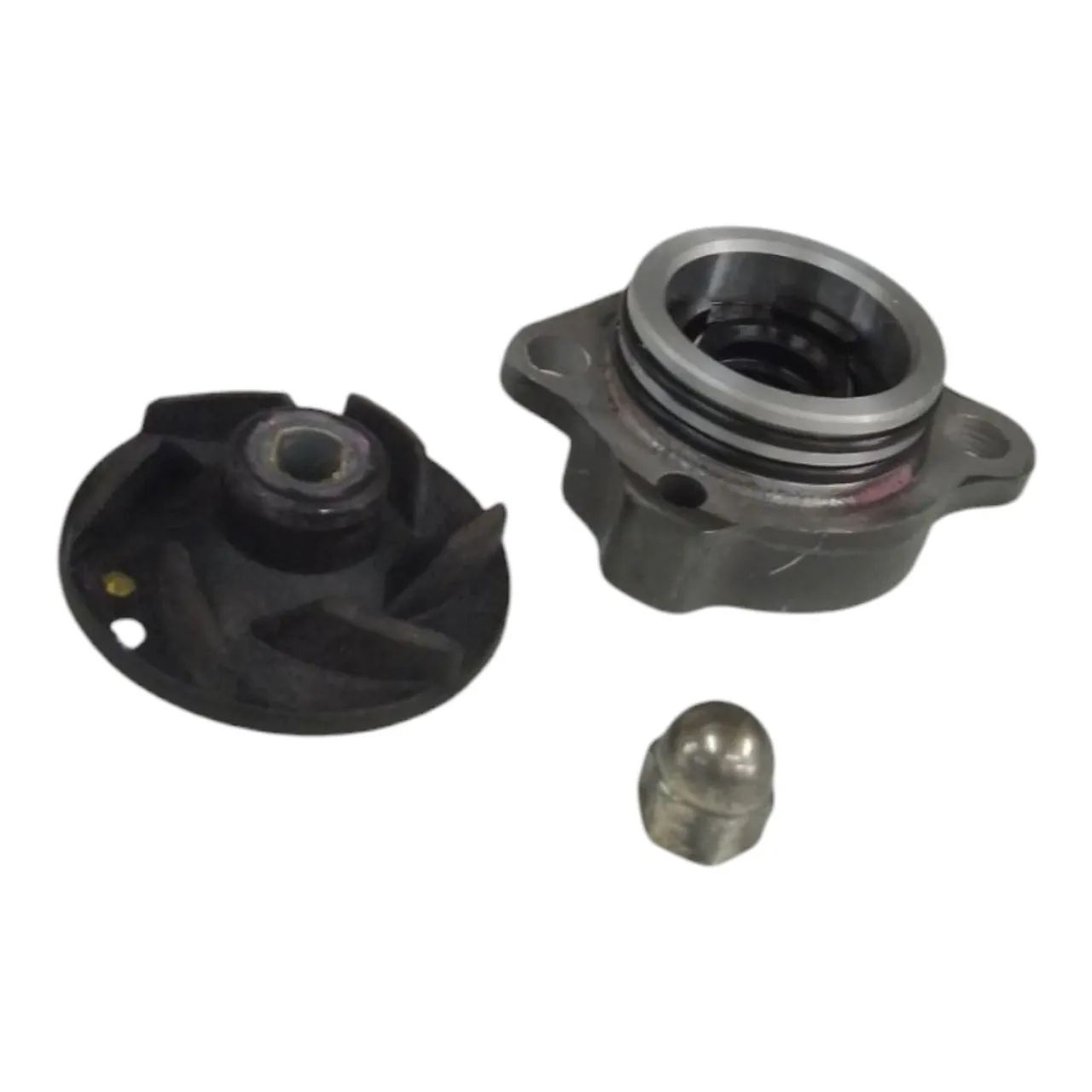 Bomba Água Triumph Scrambler 400x 2023/2024 - Foto 3