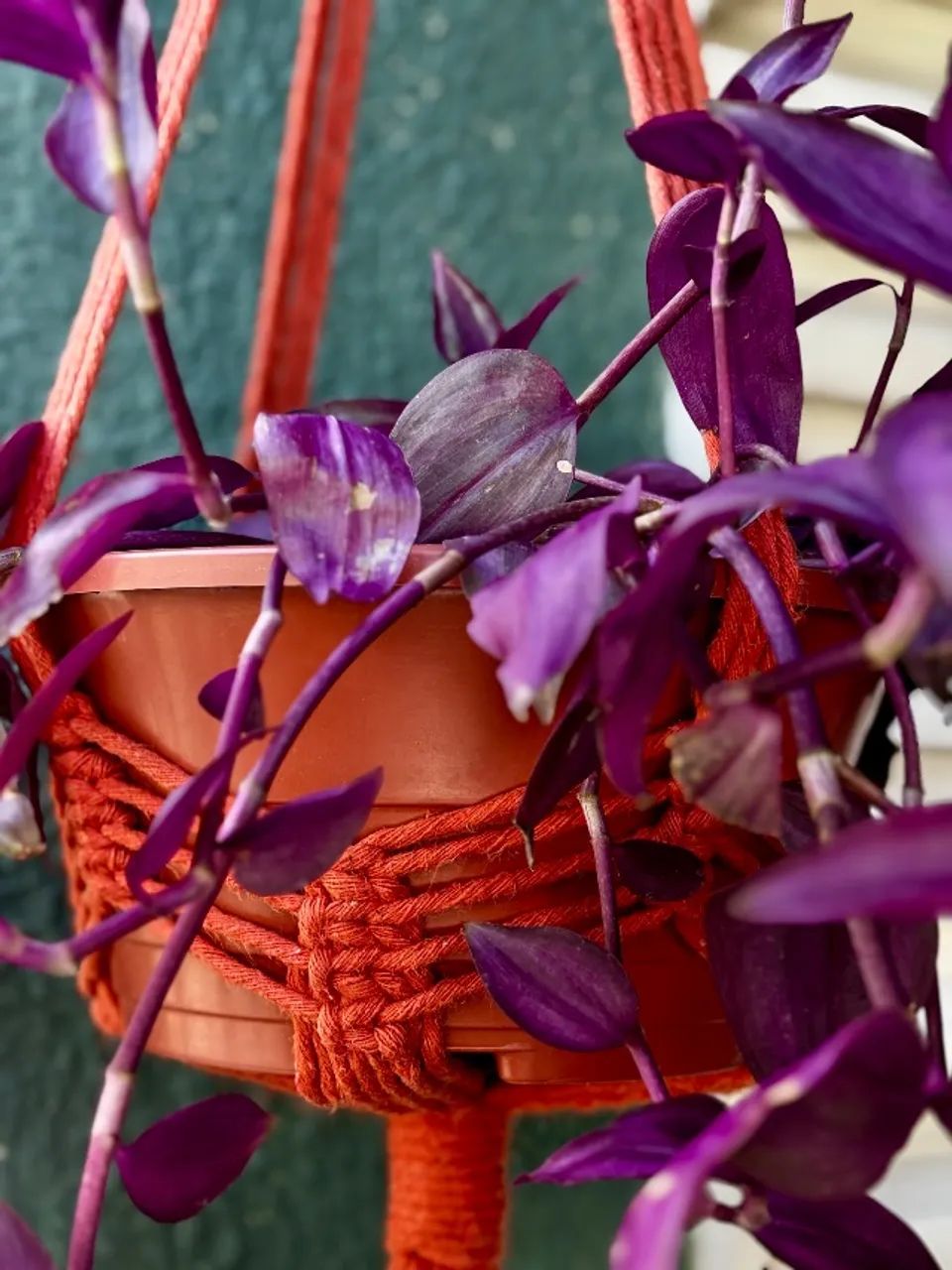 Suporte de Plantas em Macramê - Terracota | Feito à Mão - Foto 3