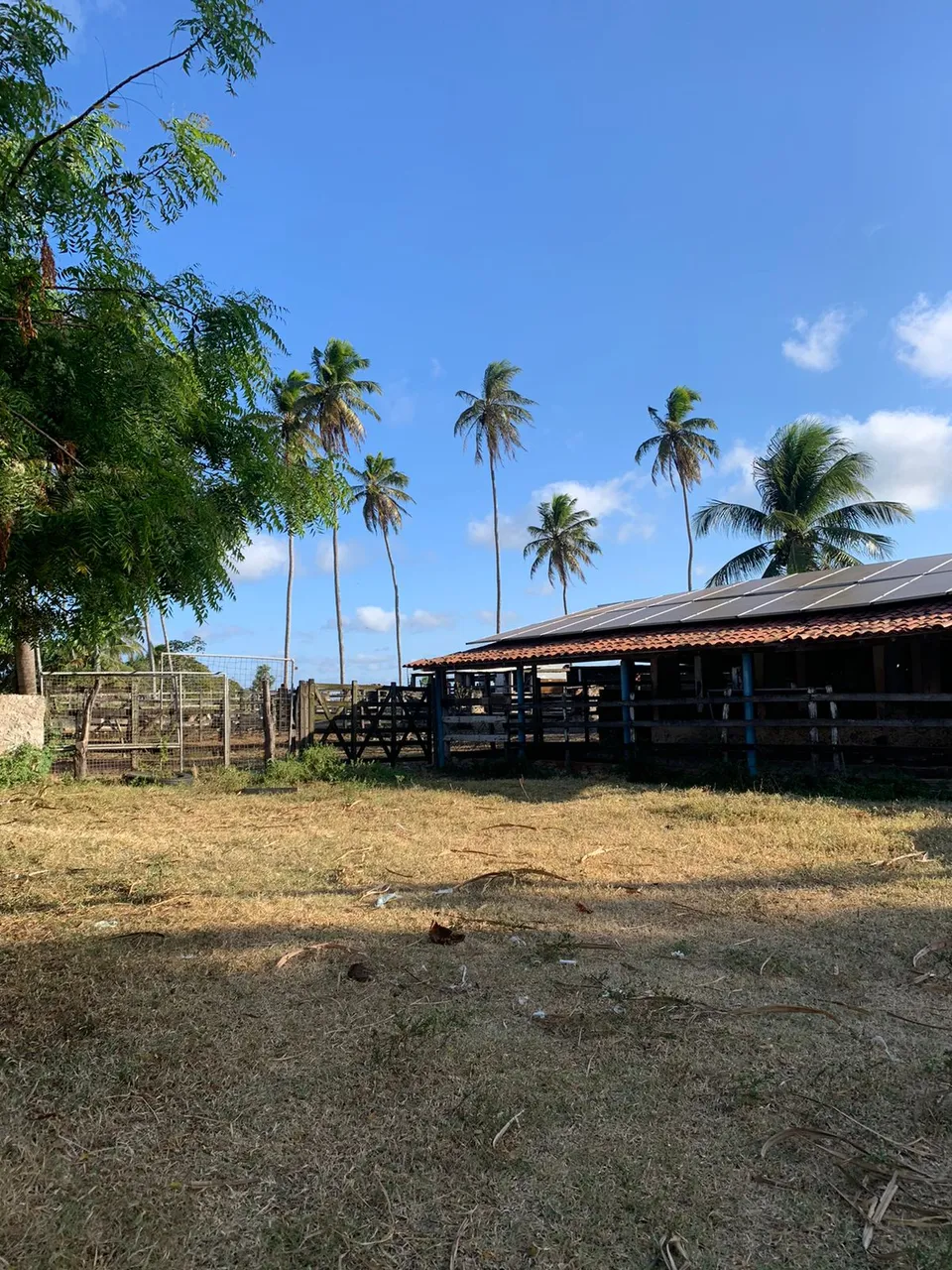 Fazenda com 30 hectares no vale de ceará mirim