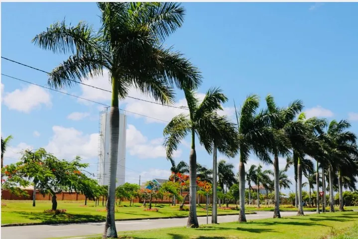 Vendo Lotes em Pium Condomínio Residencial Alphaville Catuana, área 471 metros quadrados