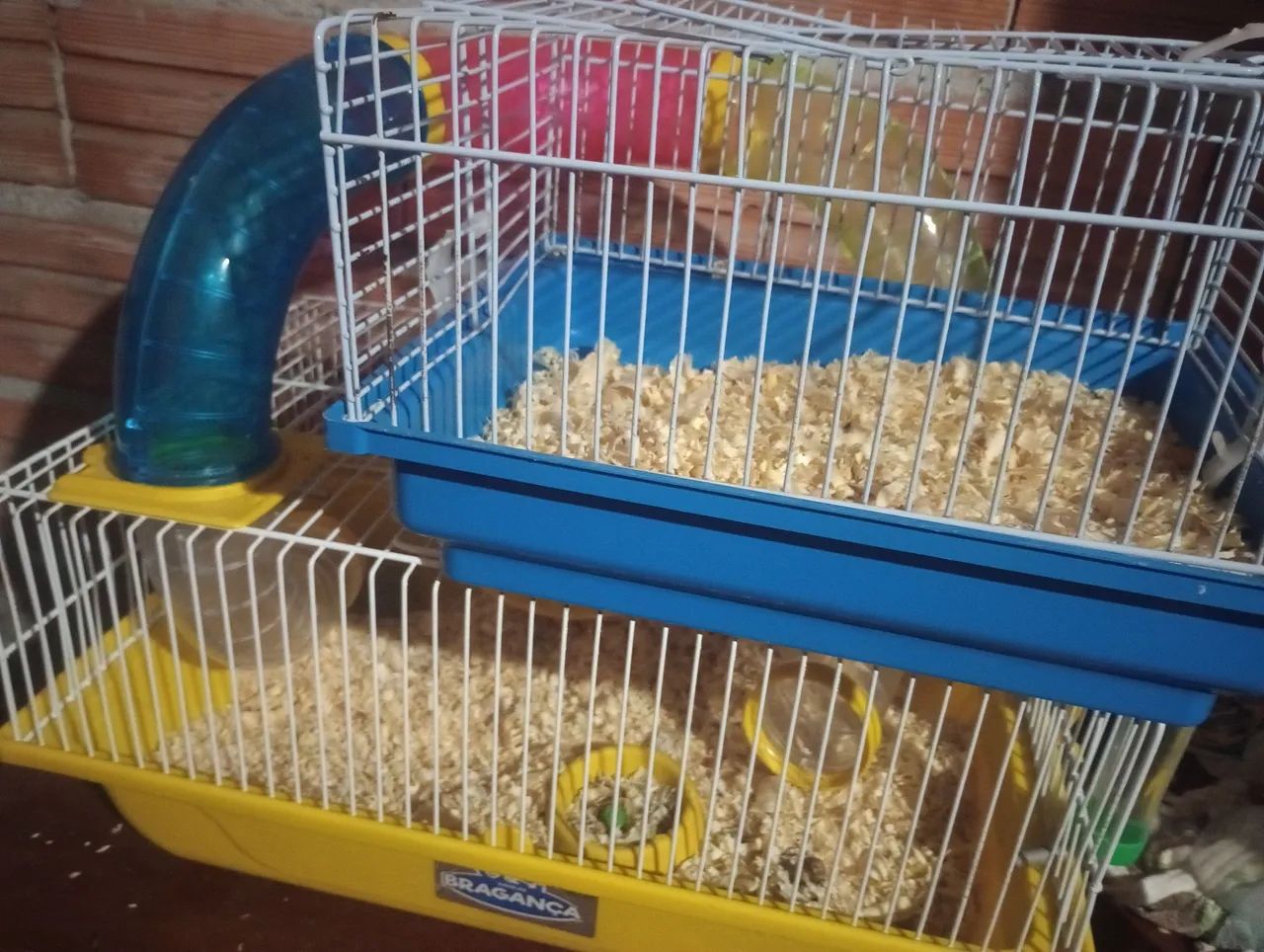 Gaiola para Hamster com Acessórios - Foto 3