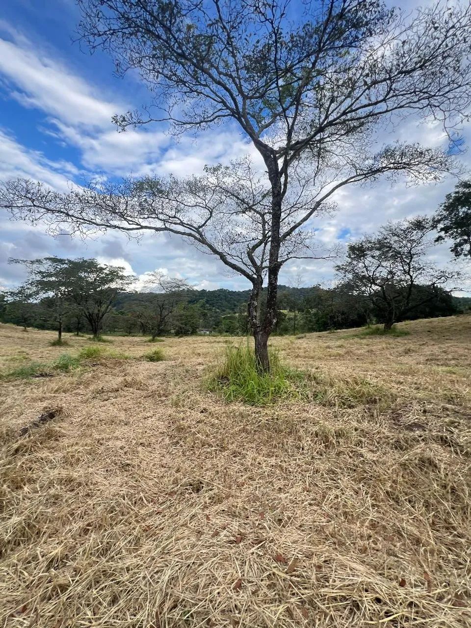 Terreno de 20 mil em para de minas  - Foto 5