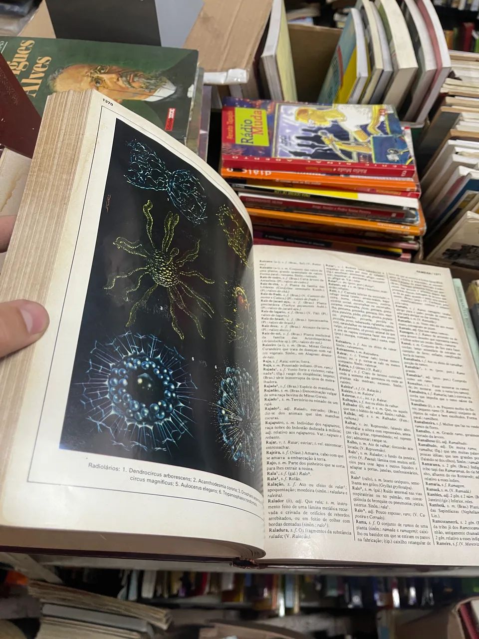 Pequeno dicionário brasileiro língua portuguesa ilustrado 3 volumes - Foto 3