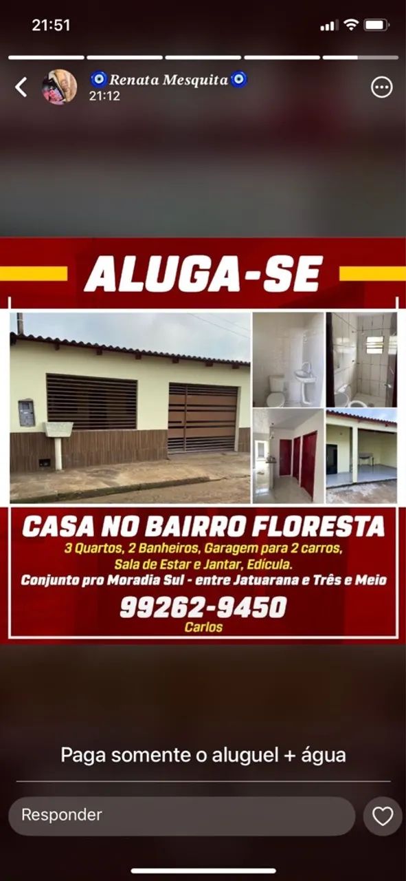 Foto - Porto Velho - Floresta