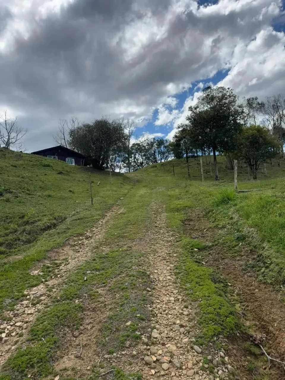 Sítio à Venda em Rancho Queimado  SC  Com riacho dentro da propriedade! - Foto 14