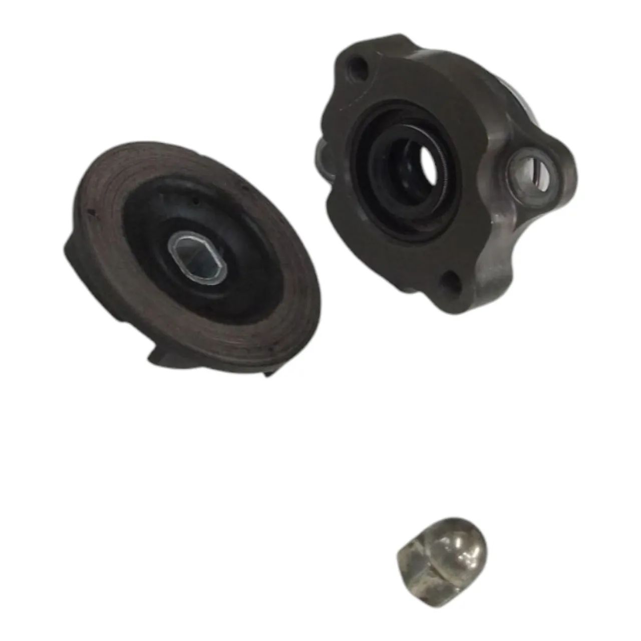 Bomba Água Triumph Scrambler 400x 2023/2024 - Foto 4