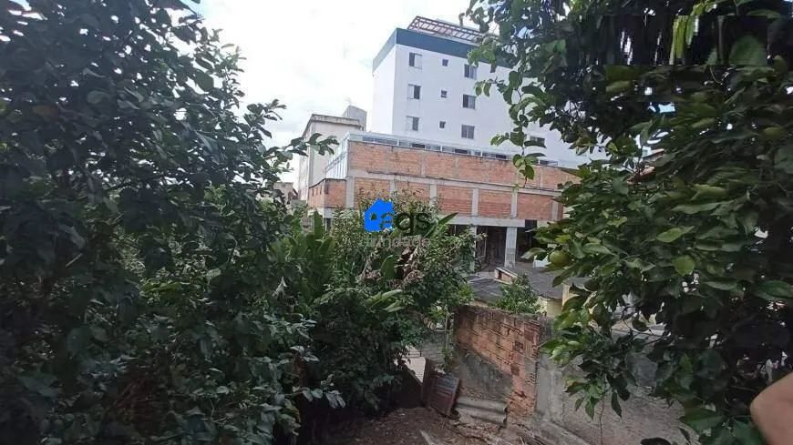Terreno em Sagrada Família com 420 m² . - Foto 3