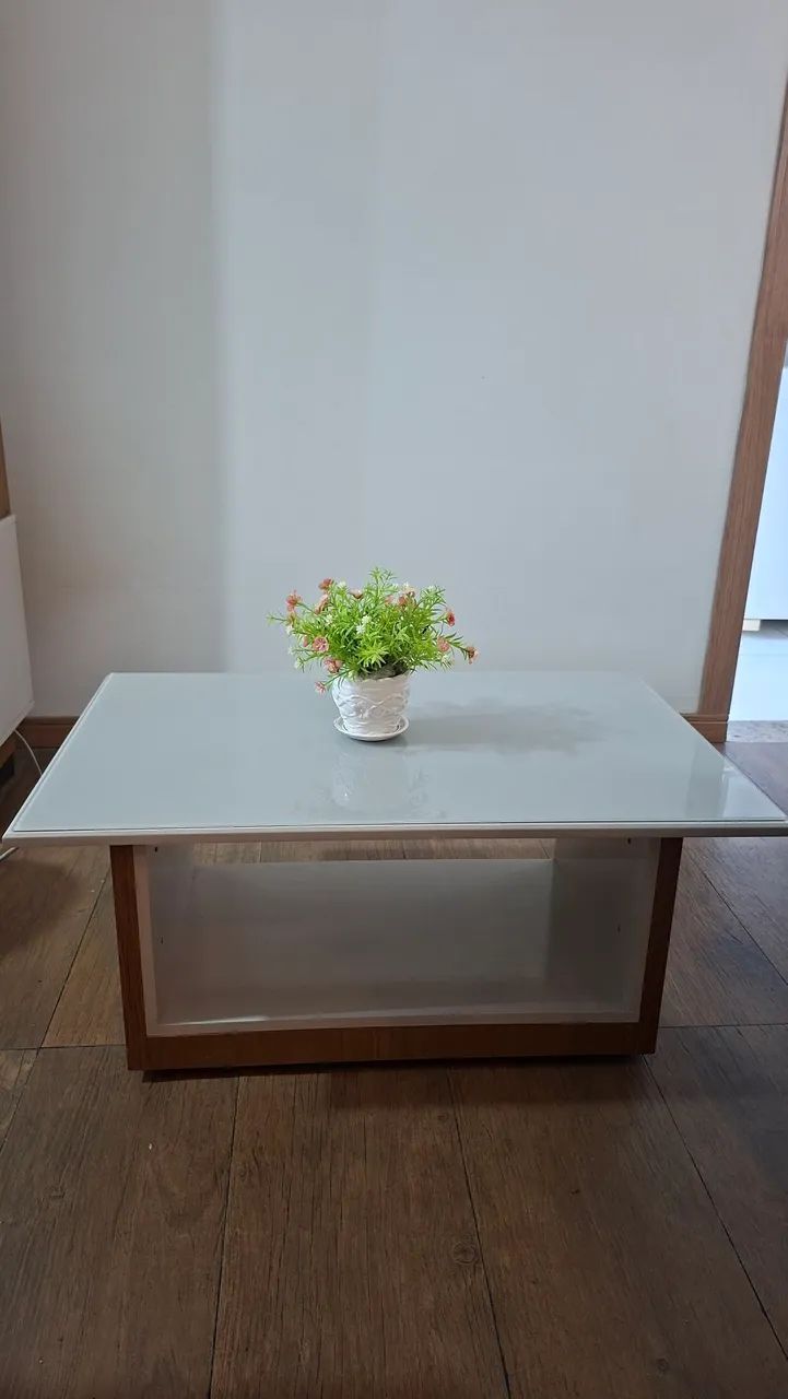 MESA DE CENTRO + VASO DE DECORAÇÃO 